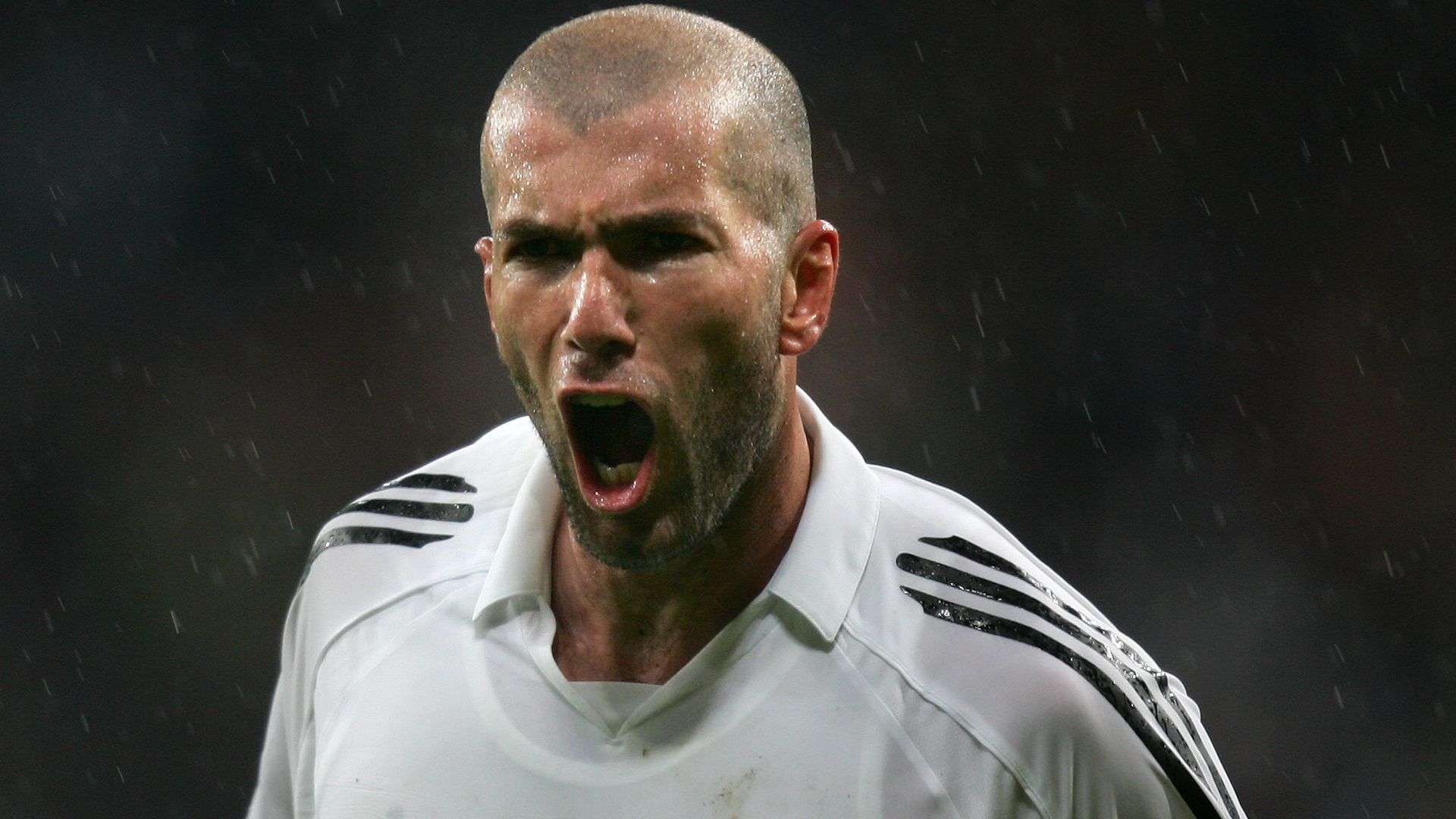 份体育带来 份体育带来