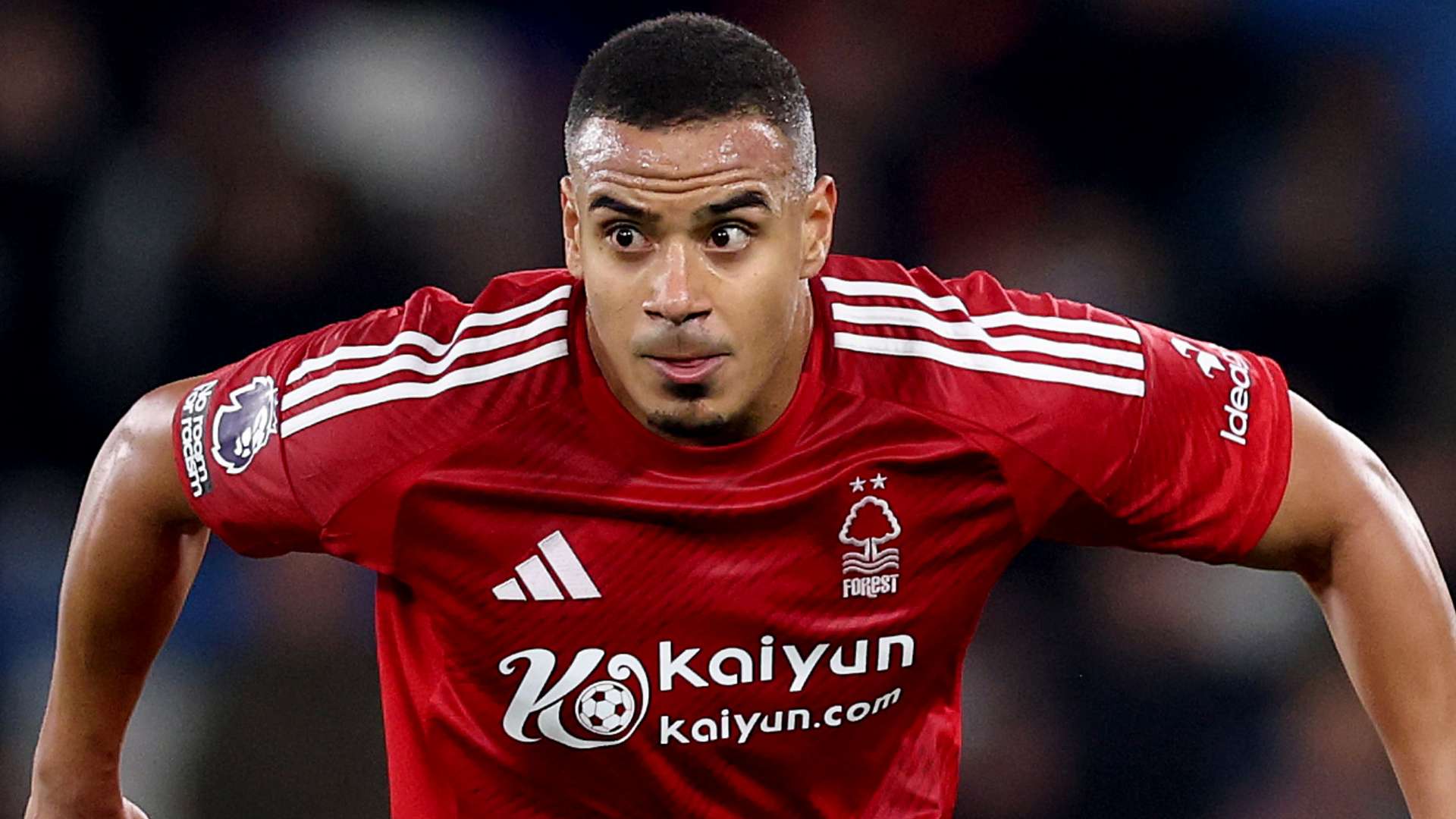 与足总杯关 与足总杯关